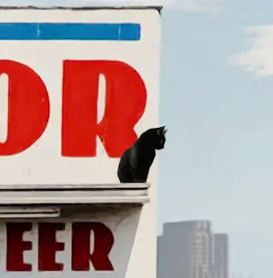 Mr. Strange - At Dave's kopen? Bied vanaf 85!