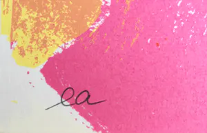 Marijke Boomsma - Tweeledigheid kopen? Bied vanaf 20!