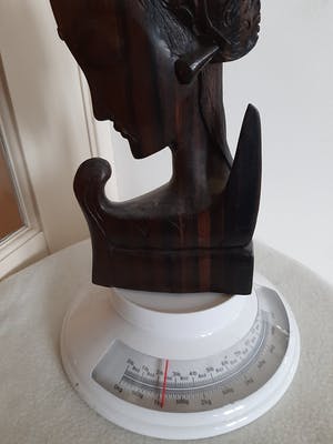 Curiosa - Godin hoofd uit Indonesië, Eben Wood kopen? Bied vanaf 1!