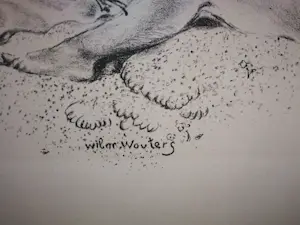 Wilm Wouters - Een romantisch geval. Naakt. kopen? Bied vanaf 44!