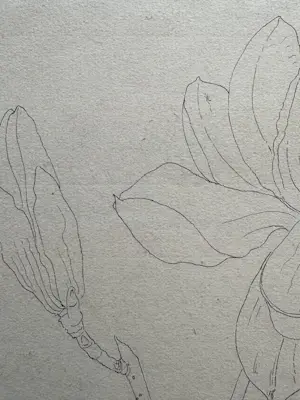 Henk Voskuyl - Magnolia kopen? Bied vanaf 35!