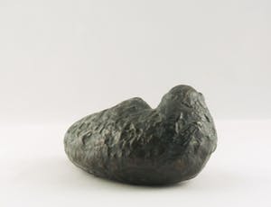 Brons (Onbekend) - Brons, Liggende zeehond kopen? Bied vanaf 10!