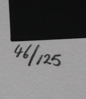 Guy Vandenbranden - Kleurrijke zeefdruk: Cathedrale de la lumiere - 1999 (laatste exemplaar!) kopen? Bied vanaf 225!