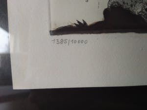 Simon Dittrich - Kleine Eule kopen? Bied vanaf 15!