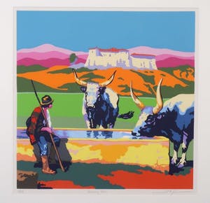 Marco Kooiman - Drinking oxen kopen? Bied vanaf 60!