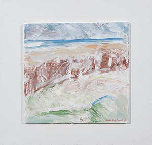 Paul Overhaus - Olieverf op board, Zeegezicht vanuit de Duinen kopen? Bied vanaf 1!