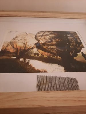 Christo - Wrapped Trees (inclusief origineel stukje stof) kopen? Bied vanaf 100!