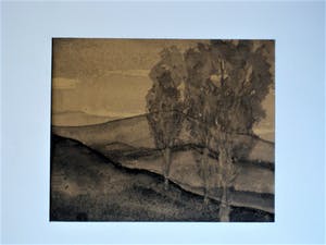 Willem van den Berg - Originele Inkttekening - Karakteristiek verstild Landschap - vanaf 1€ ! kopen? Bied vanaf 1!