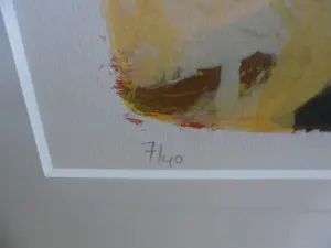 Hans Vanhorck - Litho, Titel, "Aerial Boundaries " uit 1995 kopen? Bied vanaf 35!