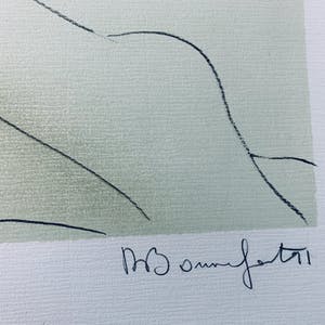 Alain Bonnefoit - Nu à la chaise rouge kopen? Bied vanaf 49!