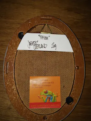 Jasper Oostland - Phou kopen? Bied vanaf 35!