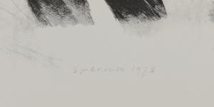 Kees Spermon - Zeefdruk, Conversation piece yellow kopen? Bied vanaf 40!