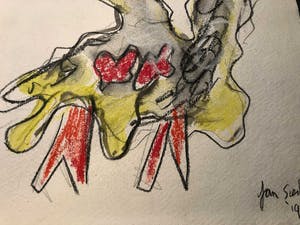 Jan Sierhuis - flamingo kopen? Bied vanaf 50!