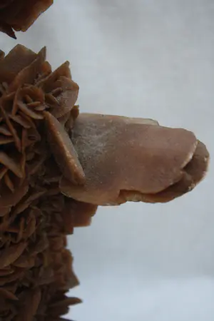 Niet of onleesbaar gesigneerd - Seleniet Marroko/Afrika kopen? Bied vanaf 1!