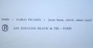 Pablo Picasso - Jong wild, paard, vogel - Offsetdruk - 1966 kopen? Bied vanaf 50!