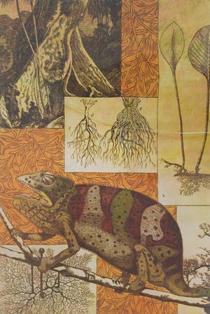 Annemarie Petri - Interieur van een rizoloog kopen? Bied vanaf 20!