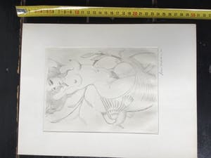 Fons Montens - Dame met de duif kopen? Bied vanaf 50!