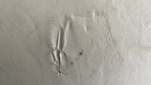 Jan Montyn - Course a la lune kopen? Bied vanaf 100!