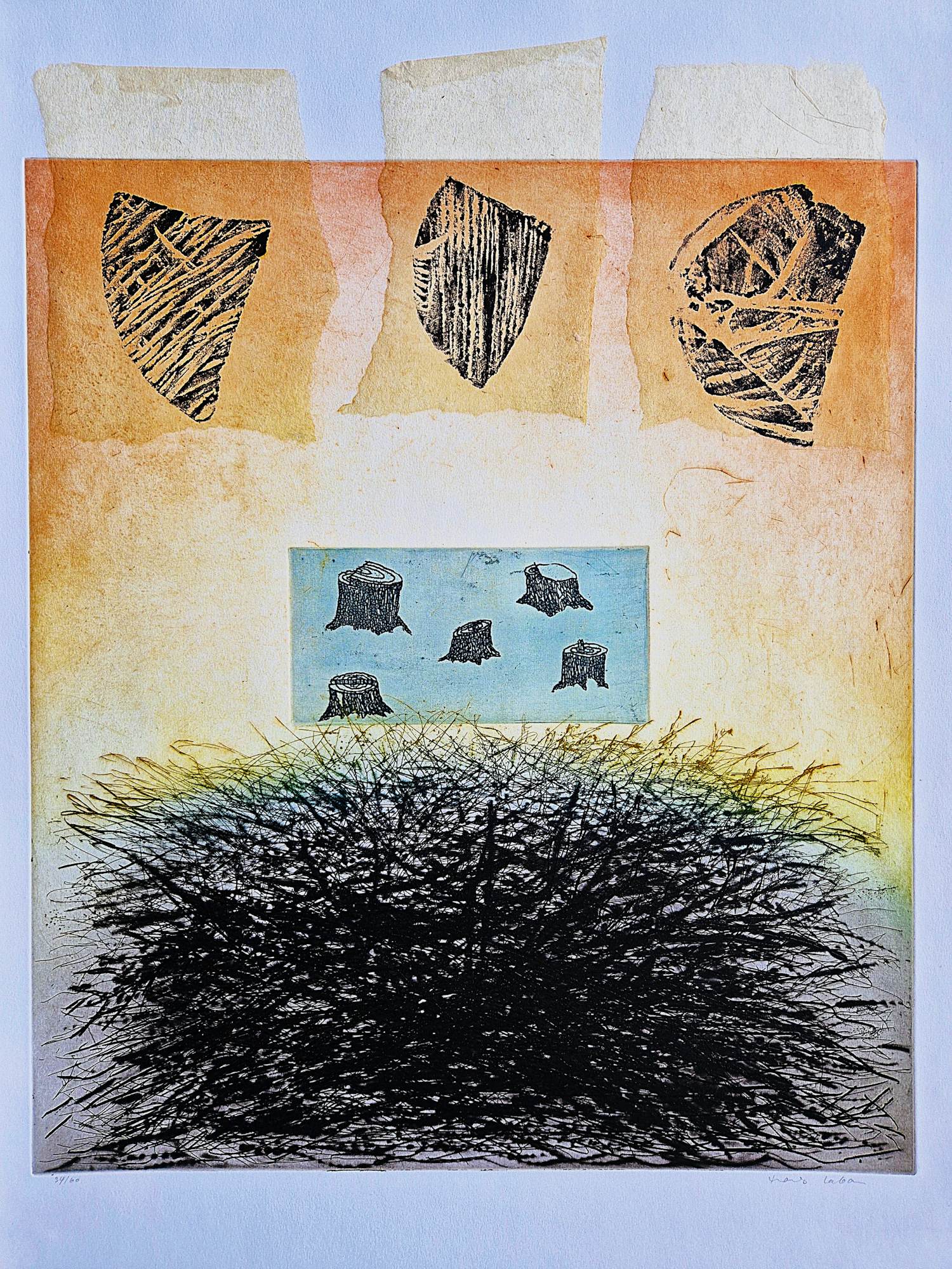 Hans Laban - Grote kleuren lithografie - kleine oplage (60) - potloodgesigneerd kopen? Bied vanaf 27!