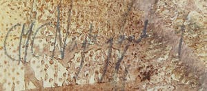 Marjan Nagtegaal - Aquarel, Zonder titel kopen? Bied vanaf 20!