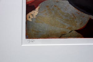Marcel Schellekens - Marcel Schellekens - kleurenets: Vissenkom - 1997(nette lijst) kopen? Bied vanaf 150!