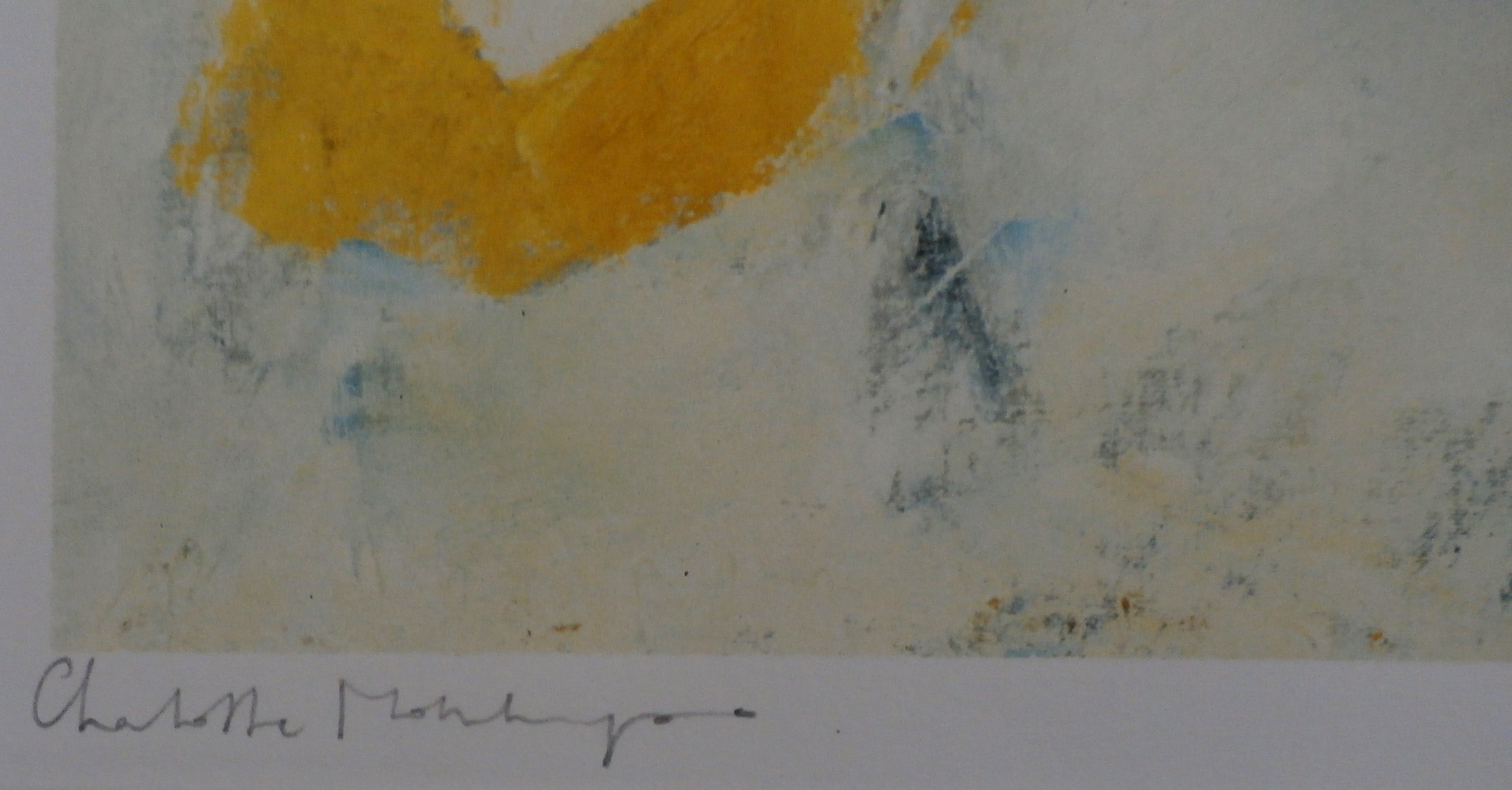 Charlotte Molenkamp - zeefdruk: vogel kopen? Bied vanaf 75!