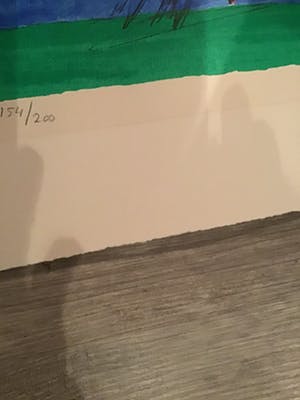 Corneille - Twee kippen ,hanen kopen? Bied vanaf 30!