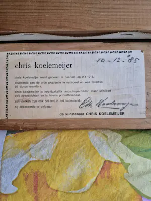 Chris Koelemeijer - Elfstedentocht kopen? Bied vanaf 125!
