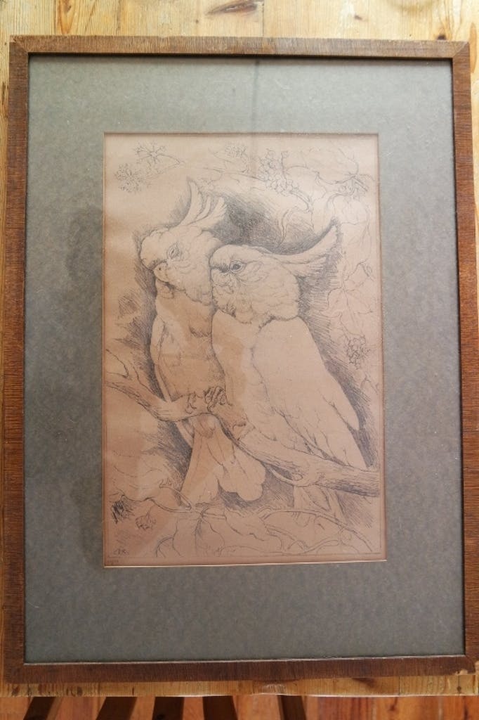 Marie Kelting - Marie Kelting - 2 Papagaaien. 15/50 kopen? Bied vanaf 15!