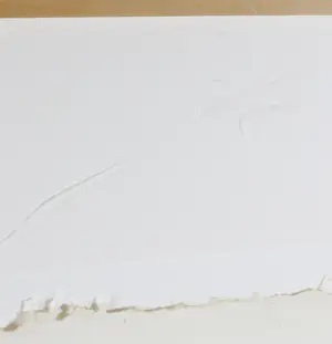 Gerard 't Hart - Zeefdruk, Shamaan - Ingelijst kopen? Bied vanaf 35!