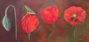 Niet of onleesbaar gesigneerd - C3280-1 - Studie naar klaprozen kopen? Bied vanaf 10!