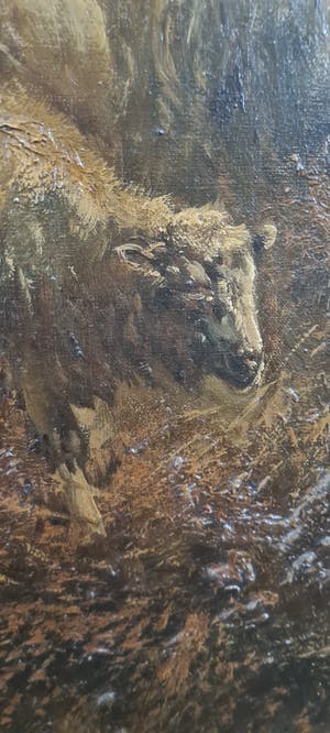 Henry Schouten - Herder met schapen kopen? Bied vanaf 1000!