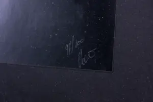 Theos - Zeefdruk op papier, Happy Family 3 - Ingelijst kopen? Bied vanaf 35!