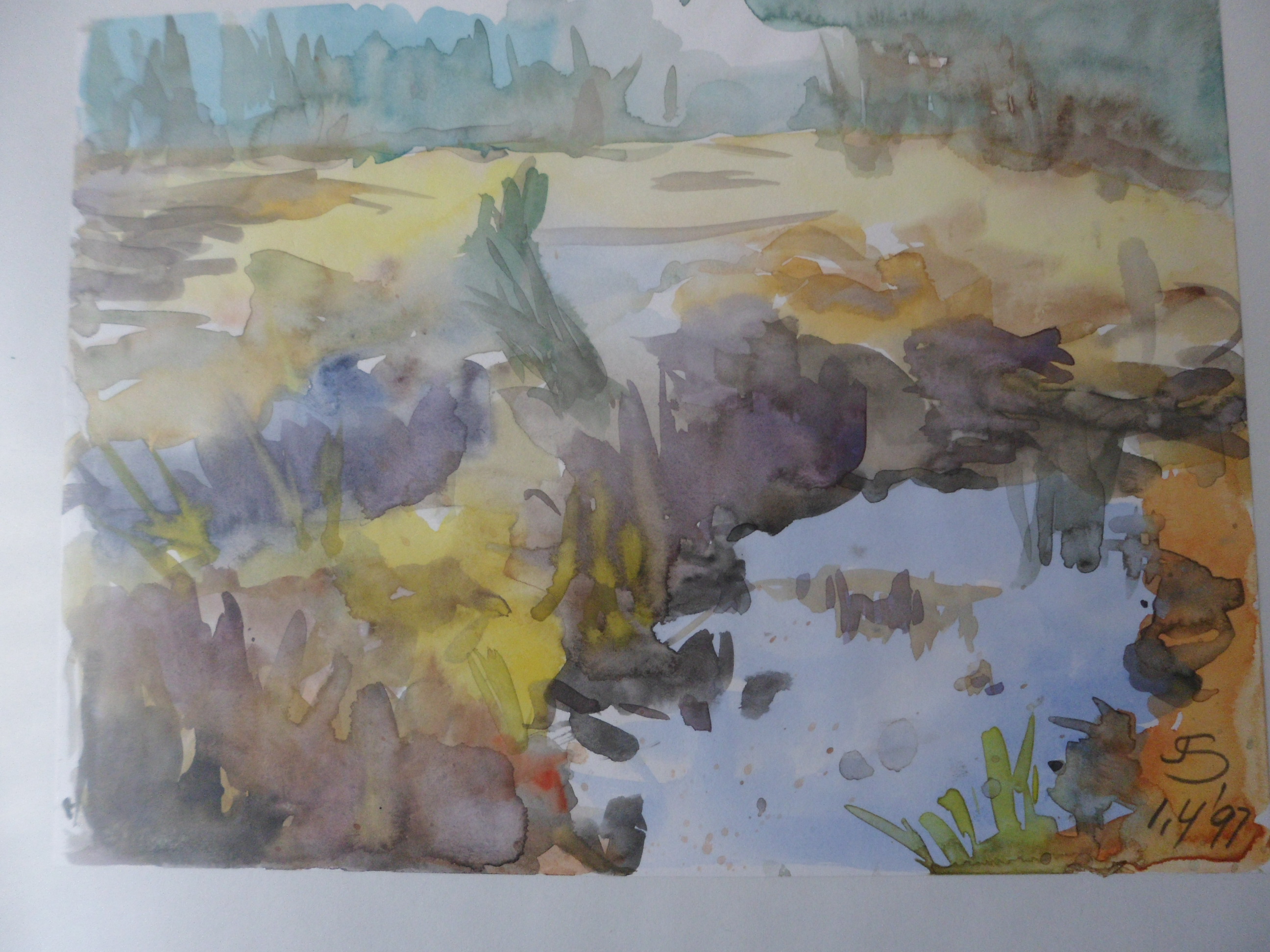 Niet of onleesbaar gesigneerd - Gesigneerd met J.S, waterplas kopen? Bied vanaf 1!