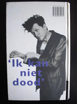 Herman Brood - " Love You " - ingelijste zeefdruk op canvas spieraam & 4 boeken kopen? Bied vanaf 100!