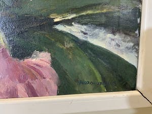 Teunis van Donselaar - Paarse bloemen kopen? Bied vanaf 25!