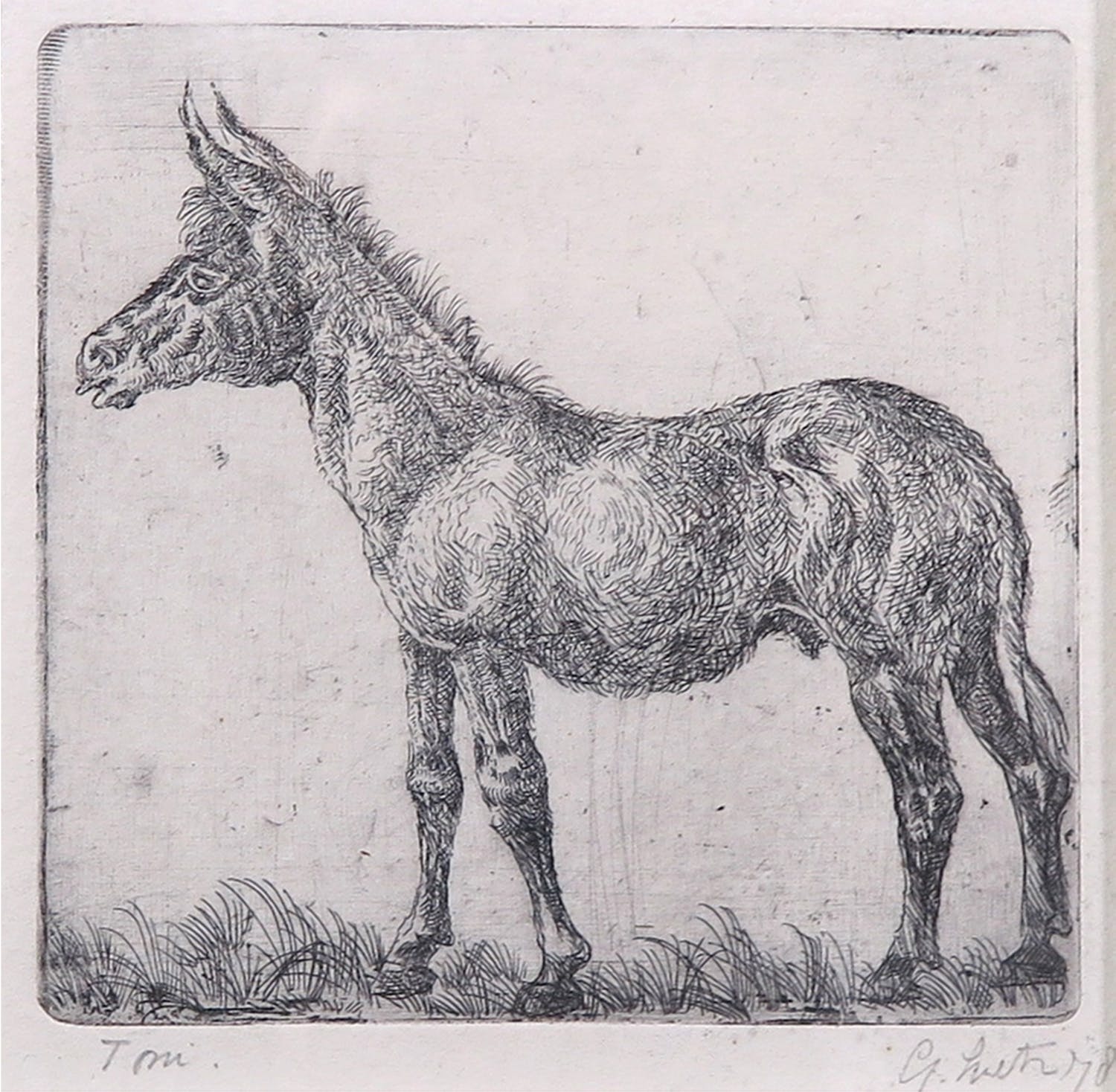 Gerard Lutz (1914-1983)