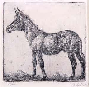 Gerard Lutz - Ets, "Toni de Muilezel" verkocht voor € 70!