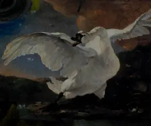 Corneille - Ingelijste gemengde techniek: KLM official Airline of EURO 2000 (nette lijst) kopen? Bied vanaf 895!