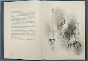 Dirkje Kuik - Petit 3 met 2 gesigneerde litho’s kopen? Bied vanaf 99!