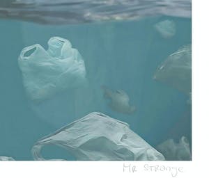 Mr. Strange - PLASTIC IS FANTASTIC kopen? Bied vanaf 65!