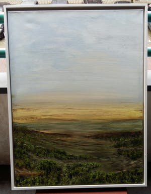 Joost Erftemeijer - Landschap kopen? Bied vanaf 80!