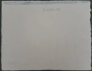 Jan Montyn - Bamboo II kopen? Bied vanaf 60!