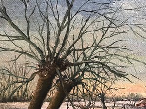 Marinus van der Sangen - Witerwilgen aan de waterkant. kopen? Bied vanaf 1!