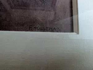 Frida Holleman - WILDBOEKET IN WITTE KAN kopen? Bied vanaf 250!