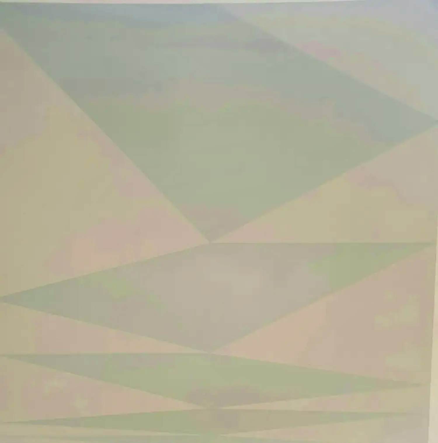 Peter Struycken - Zeefdruk: geometrisch abstract (1966) kopen? Bied vanaf 250!