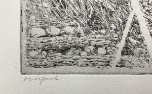 Charles Donker - ets - 'Landschap met twee stokken, Rhijnauwen' - PROEFDRUK IIe staat - 1970 kopen? Bied vanaf 480!