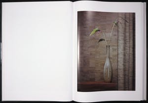 Erwin Olaf - Fotoboek, OWN XXL (Gesigneerd) kopen? Bied vanaf 800!
