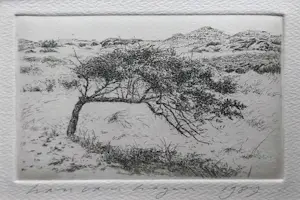 Han van Hagen - ets met duinlandschap - INGELIJST - 25541 kopen? Bied vanaf 50!