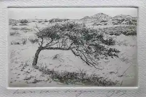 Han van Hagen - ets met duinlandschap - INGELIJST - 25541 verkauft für € 50!